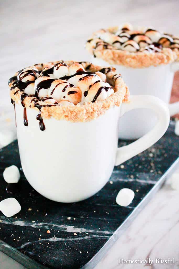 S'mores Hot Chocolate | 15+ Hot Chocolate recipes