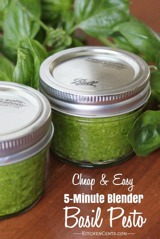 Easy 5-Minute Blender Basil Pesto | Kitchen Cents