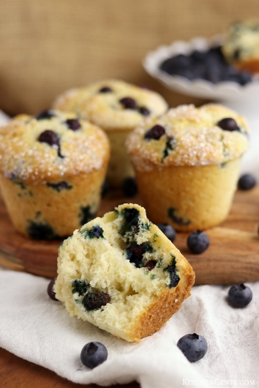 Amazing Easy Blueberry Muffins | Kitchen Cents