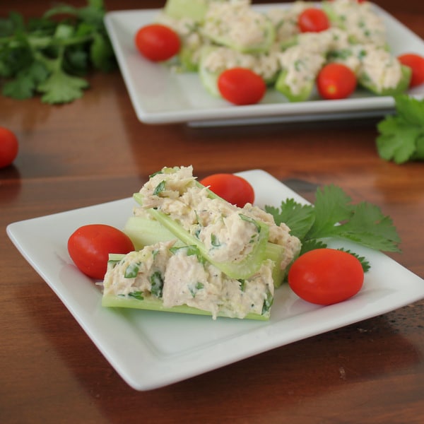 Healthy Tuna Celery Sticks | 21+ Low-Carb Snacks