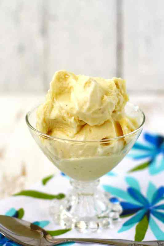 Pineapple Nice Cream | 21+ Healthy Frozen Snacks | Kitchen Cents