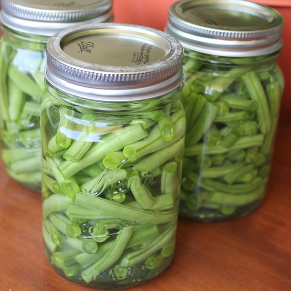 Fresh canned green beans