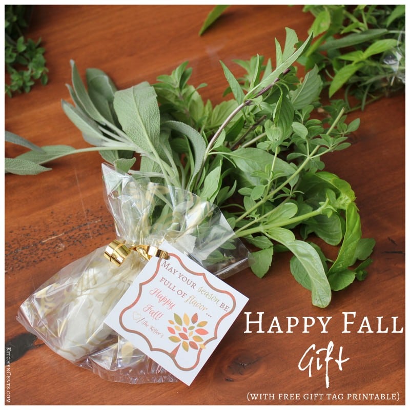 Happy Fall Gift Tag with printable | KitchenCents.com