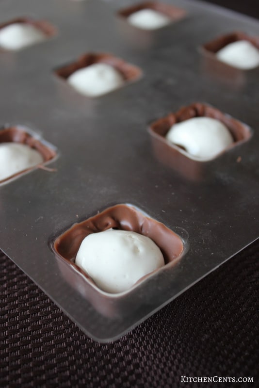 SpinningLeaf Chocolate Covered S'mores Tutorial