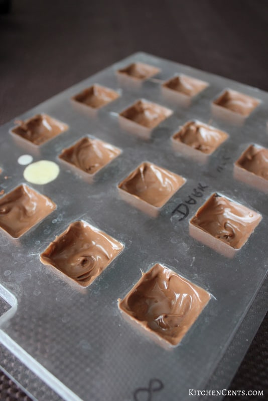 https://kitchencents.com/wp-content/uploads/2016/12/Smores-chocolates-mold-it-KitchenCents.com_.jpg