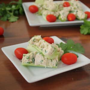 Healthy Tuna Salad Celery Sticks Snack | KitchenCents.com