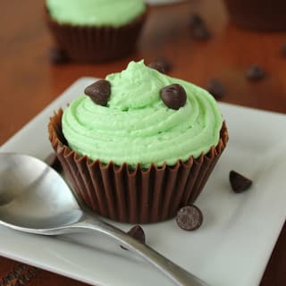 Easy Eggless Mint Mousse In Chocolate Cups Kitchen Cents,Chameleon Petsmart