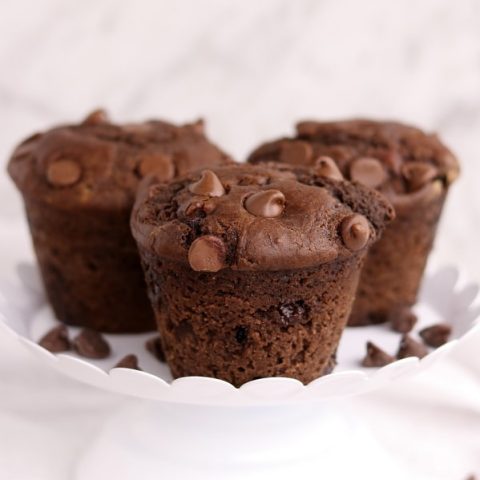 Easy Breakfast Double Chocolate Muffins | Kitchen Cents