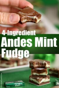 Easy 4-Ingredient Andes Mint Fudge | Kitchen Cents