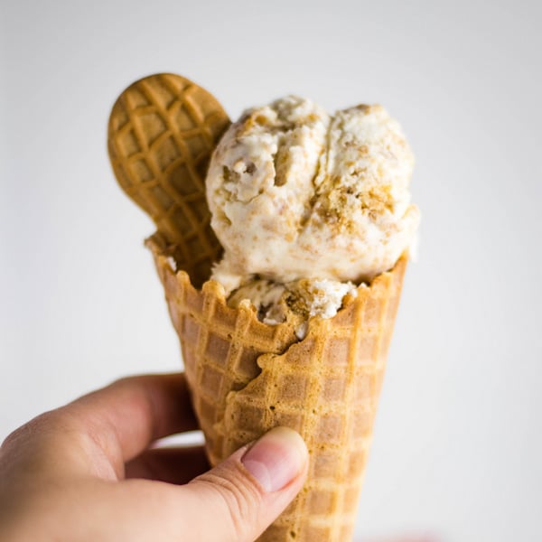 Easy Peanut Butter Ice Cream Recipe with Nutter Butter Cookies | Kitchen Cents