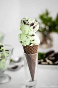 Easy Mint Oreo Ice Cream recipe | Kitchen Cents