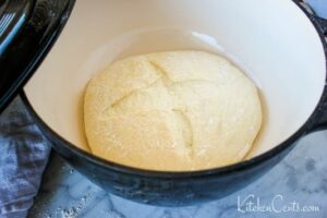 Super easy no knead dutch Oven Artisan Bread Recipe | Kitchen Cents