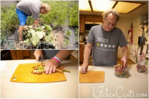 Wash and cut rhubarb for Strawberry Rhubarb pie | Kitchen Cents