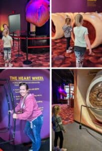 The-Heart-Museum-Our-Budget-Cruise-Vacation-Kitchen-Cents
