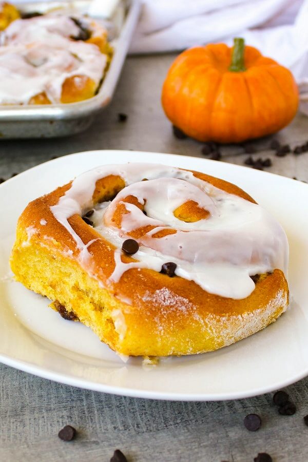 Perfect for fall Pumpkin Chocolate Chip Rolls | Kitchen Cents