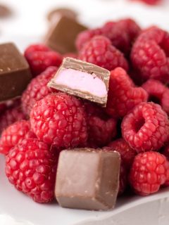 Homemade Raspberry Chocolates | Kitchen Cents