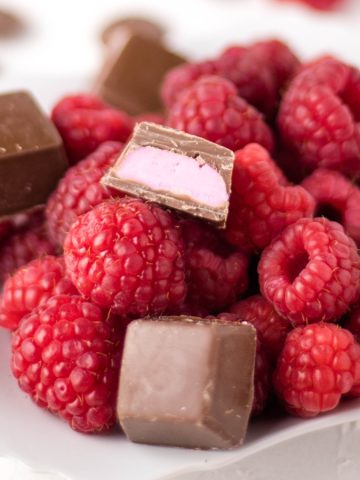 Homemade Raspberry Chocolates | Kitchen Cents